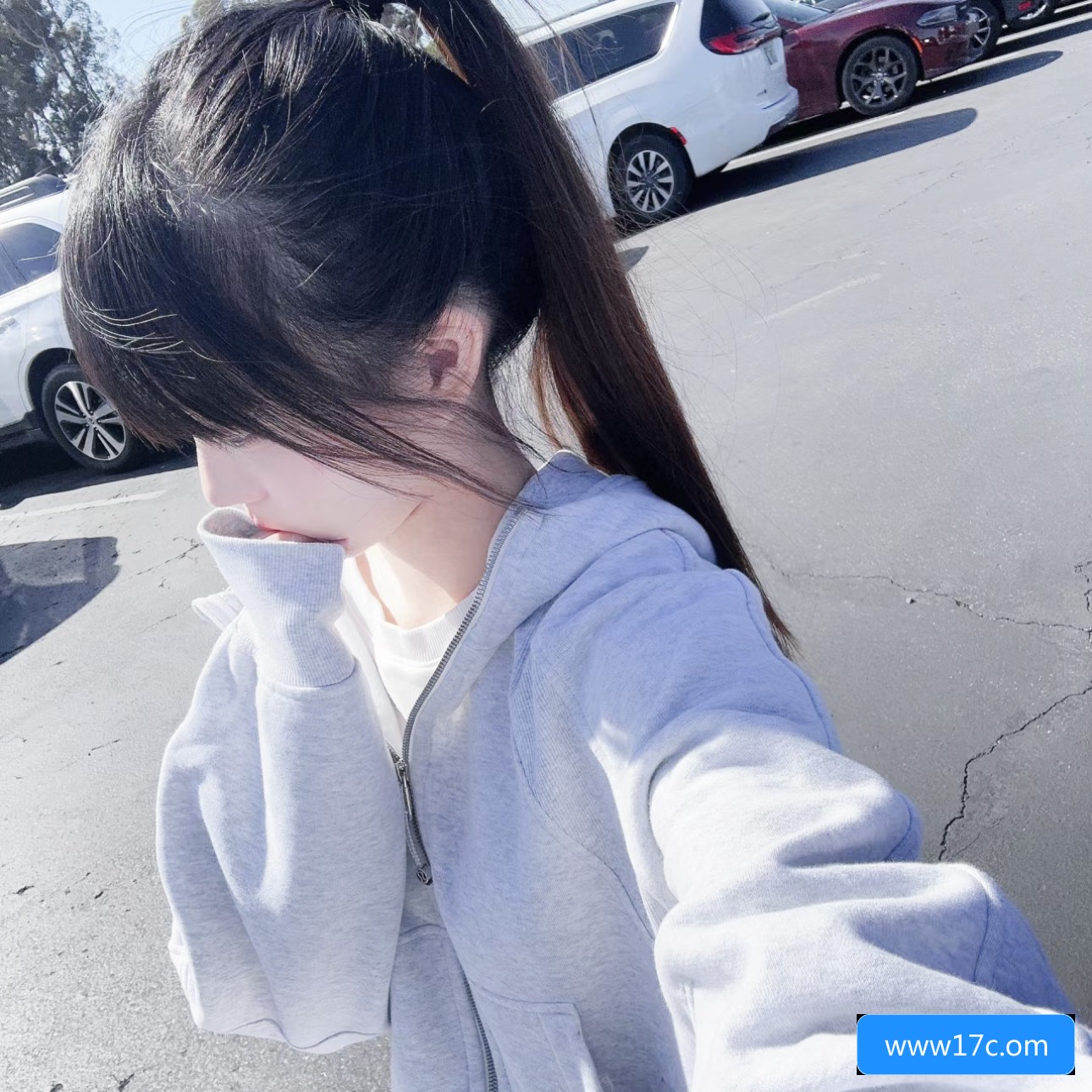 关于www17c.cow网站的安全性和使用方法，你了解多少？